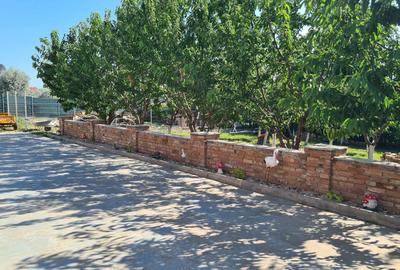 Teren in Sat Costi - 3