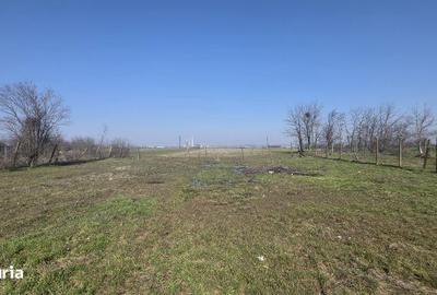 Teren de 5000 mp, în Rovine - 4