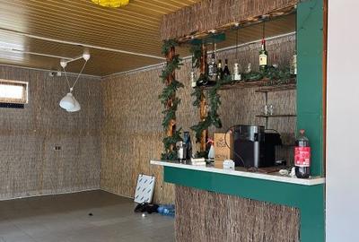 Spațiu comercial, de 100 mp, în Craiovița Nouă - 1