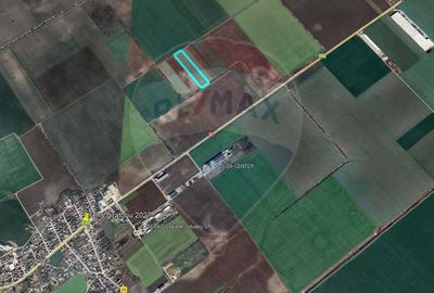 Teren extravilan, 11295 mp, Afumati, plan secund DN dn2 - 3
