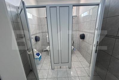 Birou, de 480 mp, în Brazda lui Novac - 17