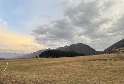 Teren de 2548 mp, în Zărnești - 1