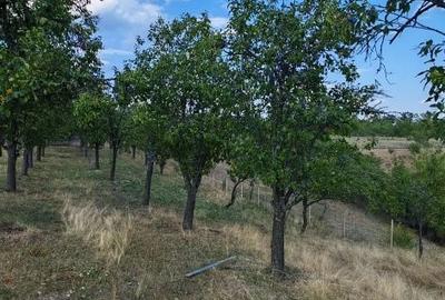 Spațiu comercial, în Central - 4