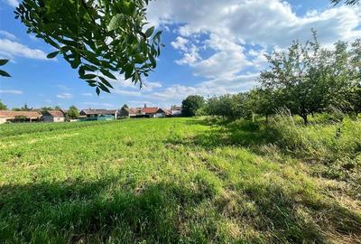 TEREN INTRAVILAN, 1200 mp, HARMAN, COMISION 0% TEREN INTRAVILAN, 1200 mp, HARMAN, COMISION 0% - 5