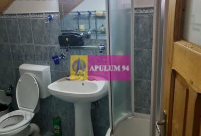 Vilă de vânzare in Sinaia - Zona Cumpătu - 28