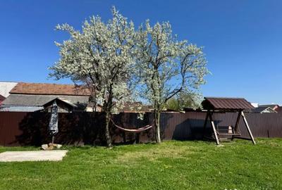 Casă cu 3 camere cu Teren 1100 Mp în Mireșu Mare - 17