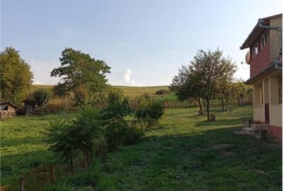 Teren Construcții intravilan de 11600 mp, în Câmpenești - 2