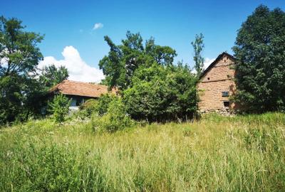 Teren de 42500 mp, în Barbura - 5