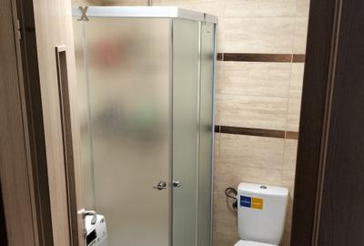 Apartament cu 2 camere decomandat, mobilat în Valea Oltului - 6