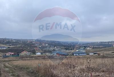 Teren intravilan de vanzare 801mp, Saldabagiu de Munte,Panorama Oras - 3