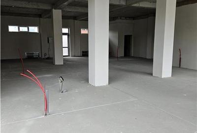 Spatiu Comercial - 200 mp - Showroom - Servicii - Clinica Medicala - 6
