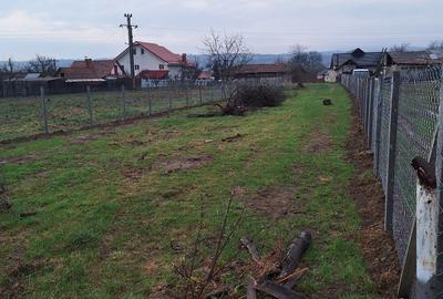 Teren de 900 mp, în Cașin - 2