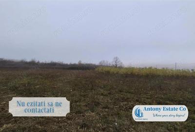 Teren de vanzare- Paleu - 6