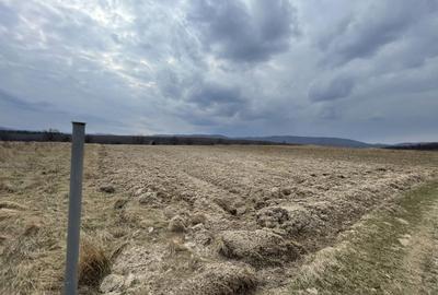 Teren agricol extravilan de 2300 mp, în Horodnic de Sus - 7