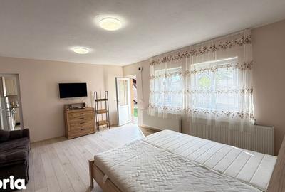 Casă cu 1 camere cu Teren 300 Mp în Oncea - 15