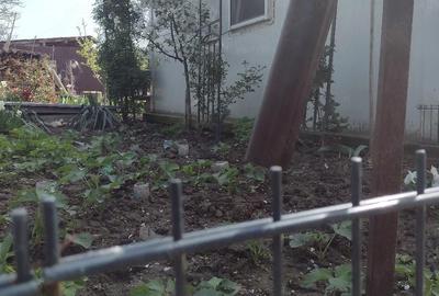 Casă cu Teren 301 Mp în Dârza - 5