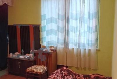 Garsonieră semidecomandată în Pădurea Neagră - 2