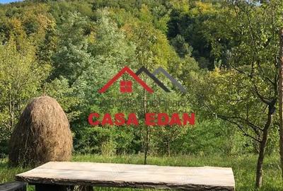 Teren de 9104 mp, în Brebu - 10