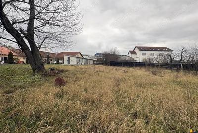 Casa cu 1.924 mp teren, de inchiriat, Sfantu Gheorghe - 11