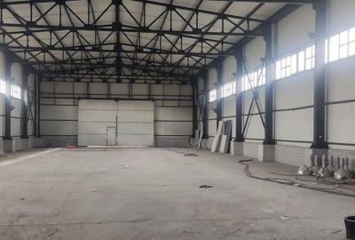 Hale renovate Oras Pantelimon module 200-400 mp ( zona in... - 4