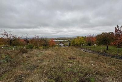 Spațiu comercial, în Podgoria - 4