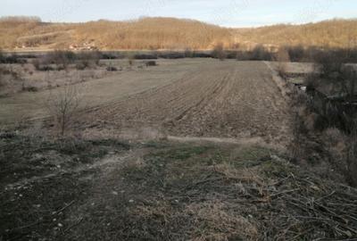 Teren Construcții intravilan de 7000 mp, în Seculești - 1