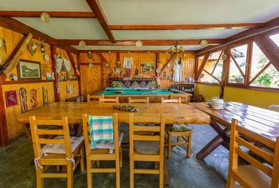 Casa cu 5 dormitoare, foisor, sauna, beci,pod garaj si gradina - 60