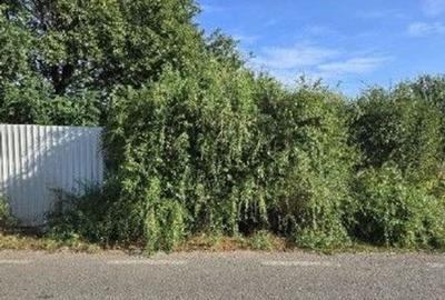 Teren intravilan Stefanestii de Jos cota parte 1/5, ID: R... - 2