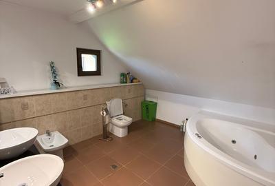 Mihailesti l Casa de vanzare P+M 2011  l 190 Mp Utili l 1000 Mp Teren l - 14