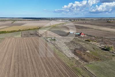 Refugiu la marginea padurii — 1000 mp de liniste in Cocani. - 7