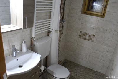 Casă cu 1 camere cu Teren 300 Mp în Ocna Șugatag - 2