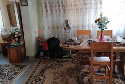 Casă cu Teren 3500 Mp în Vișeu de Jos - 6