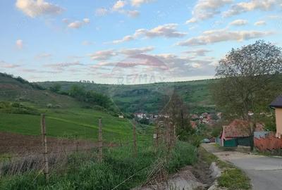 Teren de 1577 mp, în Târnăveni - 3