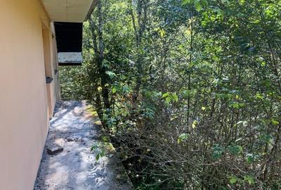 Casă pe Transfăgărășan, 480 mp construiți, la gri, 900 mp teren, ideal pensiune - 7