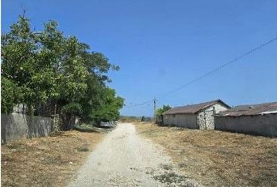 Casă cu 2 camere cu Teren 1722 Mp în Vadu - 13