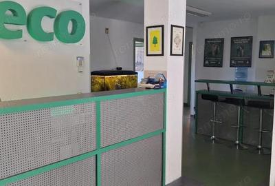 Spațiu comercial, de 430 mp, în Kiseleff - 3