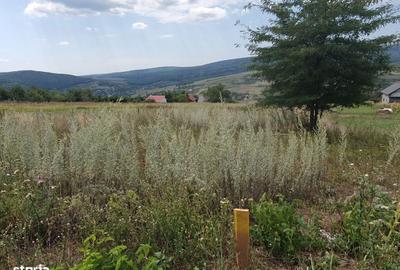 Teren de 1219 mp, în Tomești - 8