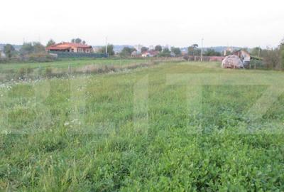 Teren intravilan 6000 mp cu 2 fronturi, parcelabil - 7