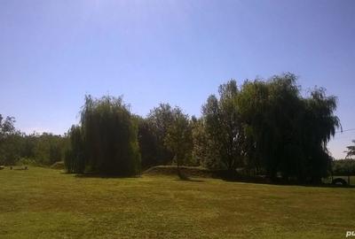 Casă cu Teren 6500 Mp în Șimian - 7