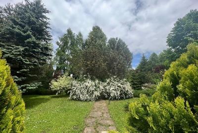 Vila de vis cu parc privat  — Panoramă Unică Spre Crucea Caraiman, - 28
