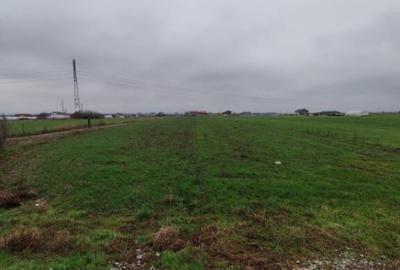 Teren Isanlita INTRAVILAN - 3266 MP - Ideal pentru investiti - 2