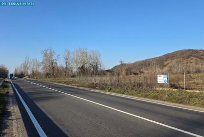 Teren Construcții intravilan de 6000 mp, în Hinova - 1