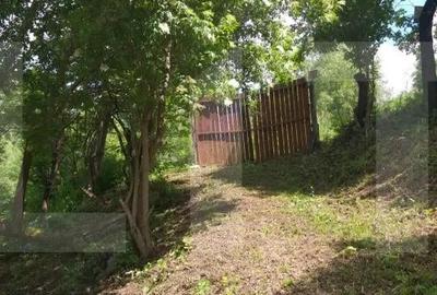 Teren de 2800 mp, în Micești - 6