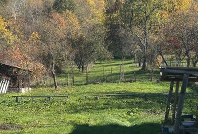 Casă cu 4 camere în Cotmeana - 4