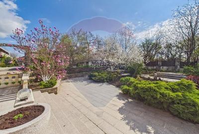 Proprietate specială, de 608 mp, în Mogoșoaia - 2