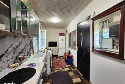 Casă cu 4 camere în Vulturi - 16
