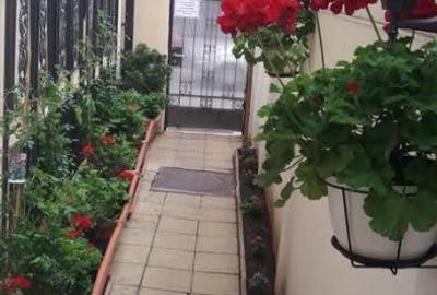 Duplex cu 12 camere cu Canalizare în Unirii - 14