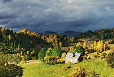 Locatie cu patru anotimpuri intr- o zi, incadrata de 2.350 teren, Bran - Fundata - 12