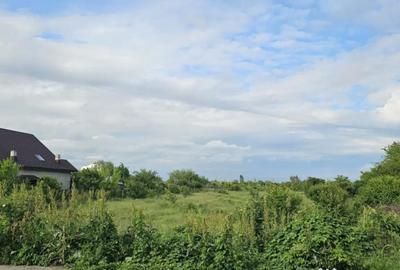 Teren de 5100 mp, în Bereasca - 2