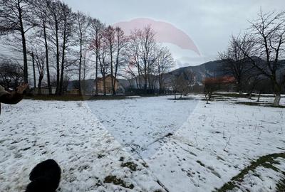 Teren Zarnesti /Bran/Predelut6 Strada Pe tarina - 2